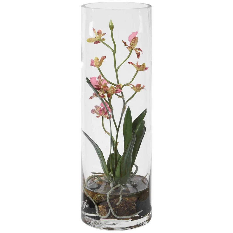 Mariposa Pink Orchid
