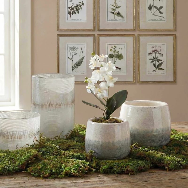 Laris Orchid Drop-In