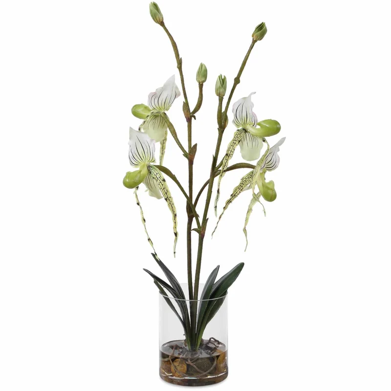 Lady Slipper Orchid In Glass Vase