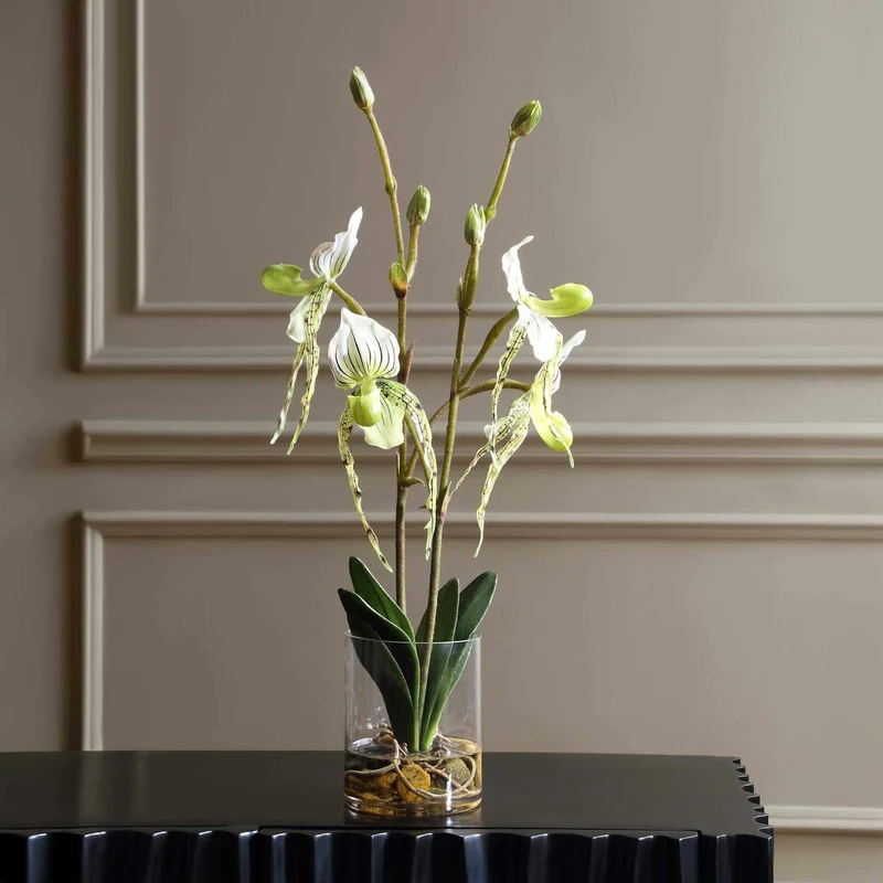 Lady Slipper Orchid In Glass Vase