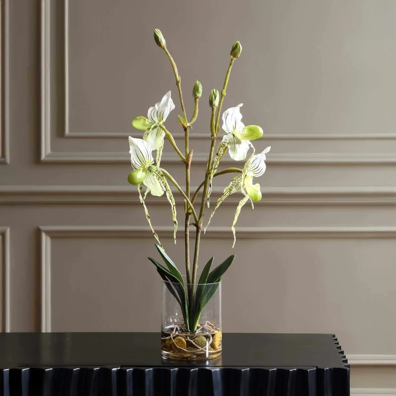 Lady Slipper Orchid In Glass Vase