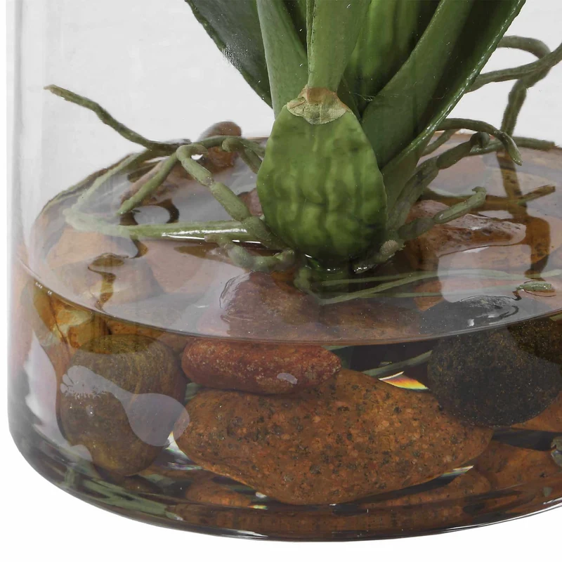 Dancing Orchid In Glass Vase