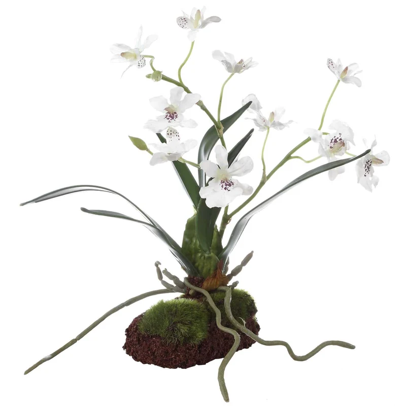 Clovis Orchid Drop-In