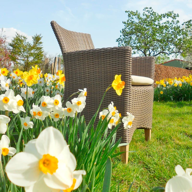 Gartensessel Timur, Polyrattan, kubu grau