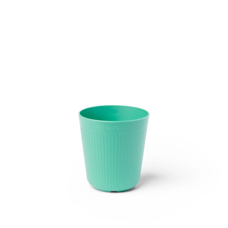 Camp Cup