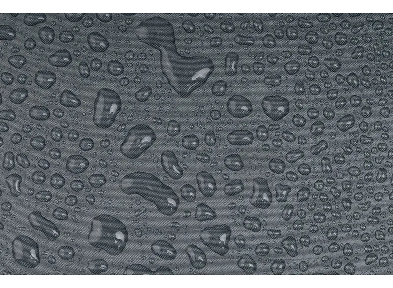 Alto Bigfoot Footprint