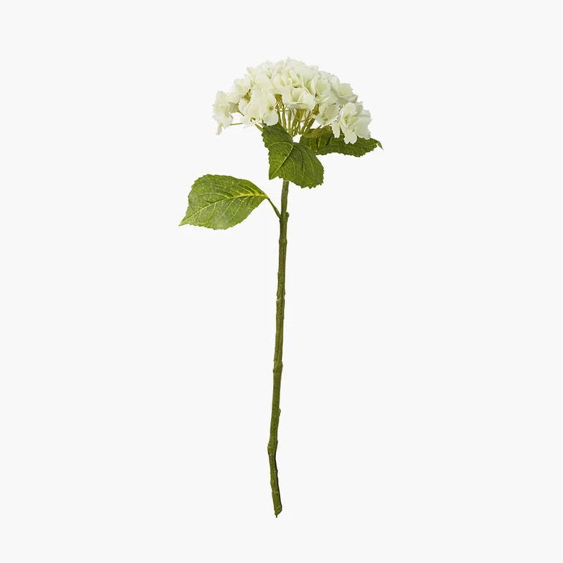 White Hydrangea Pack of 6