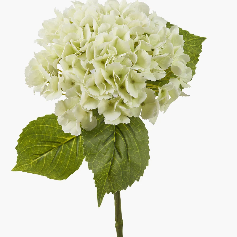 White Hydrangea Pack of 6