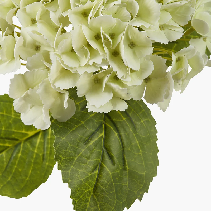 White Hydrangea Pack of 6