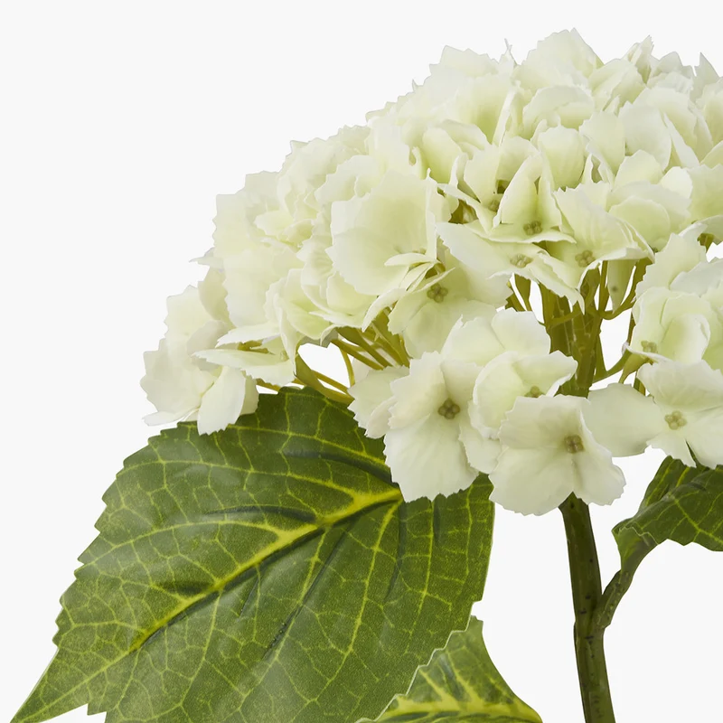 White Hydrangea Pack of 6