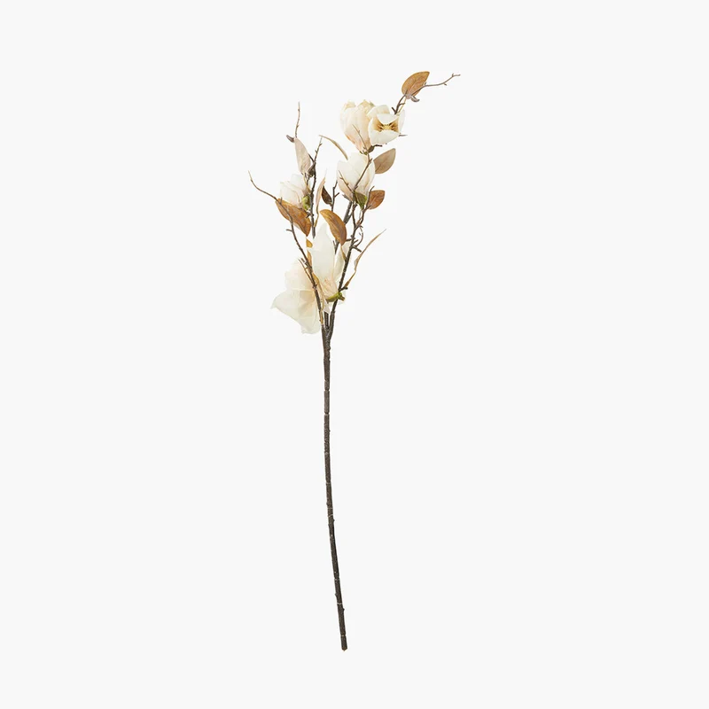 Natural Cream Magnolia Pack of 6