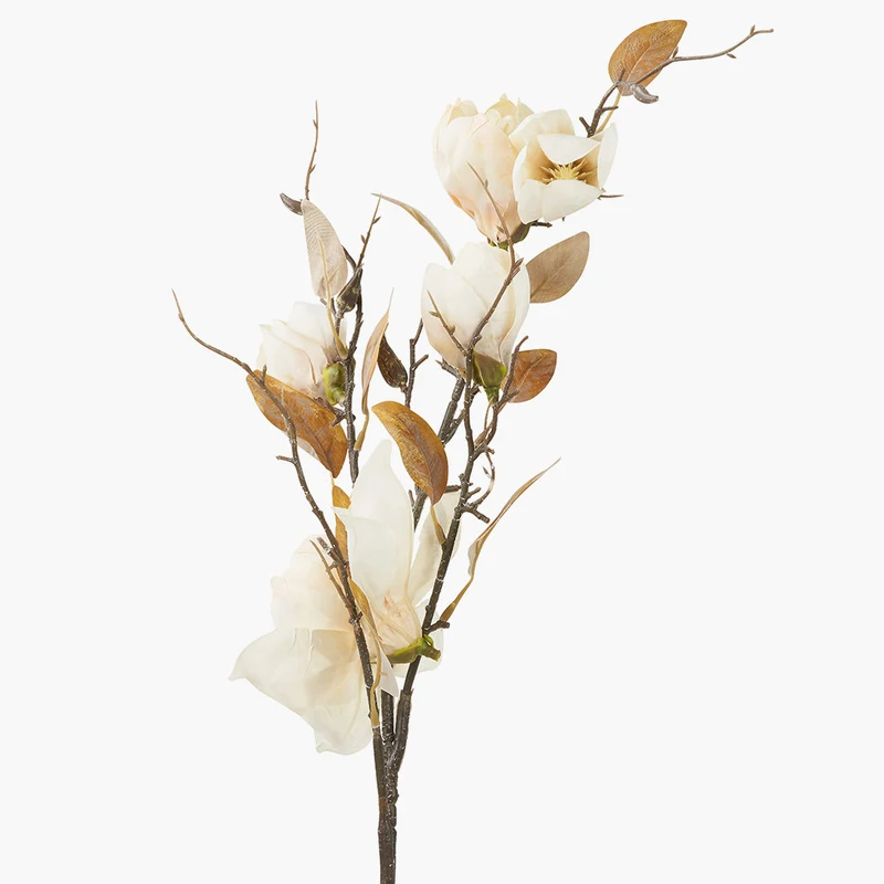 Natural Cream Magnolia Pack of 6
