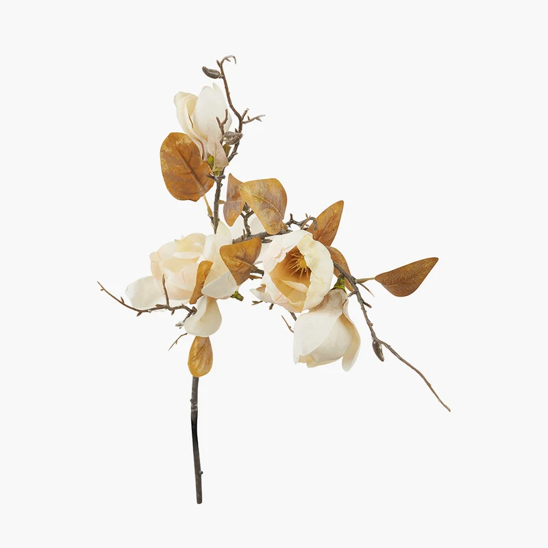 Natural Cream Magnolia Pack of 6