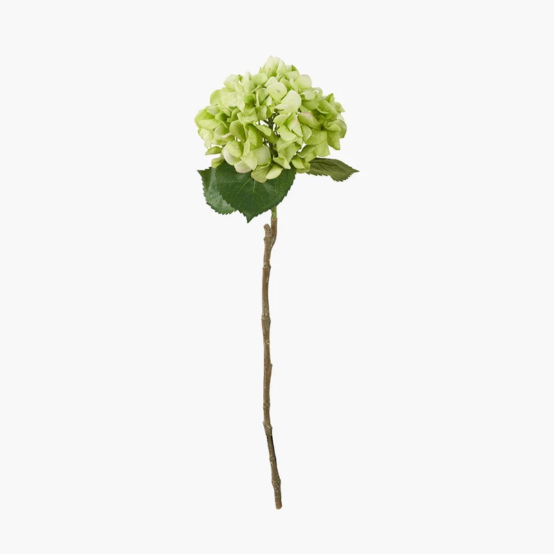 Green Hydrangea Pack of 6