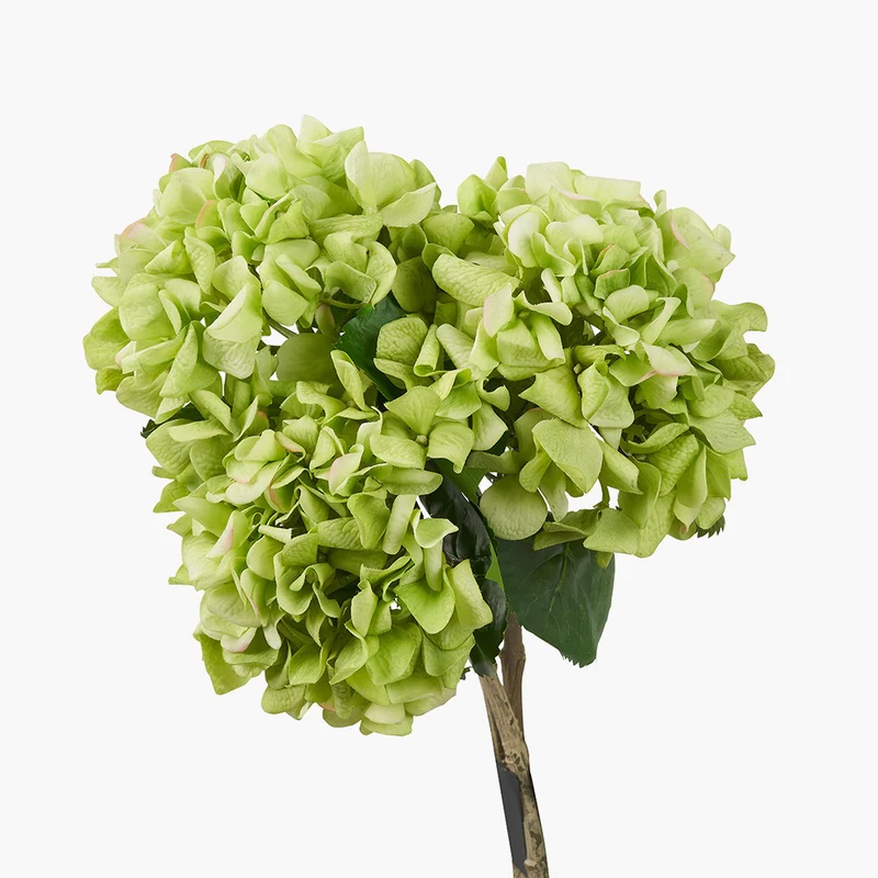 Green Hydrangea Pack of 6