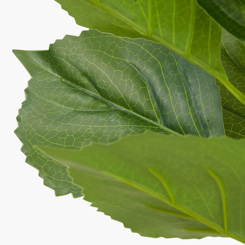 Green Hydrangea Leaf Pack of 6