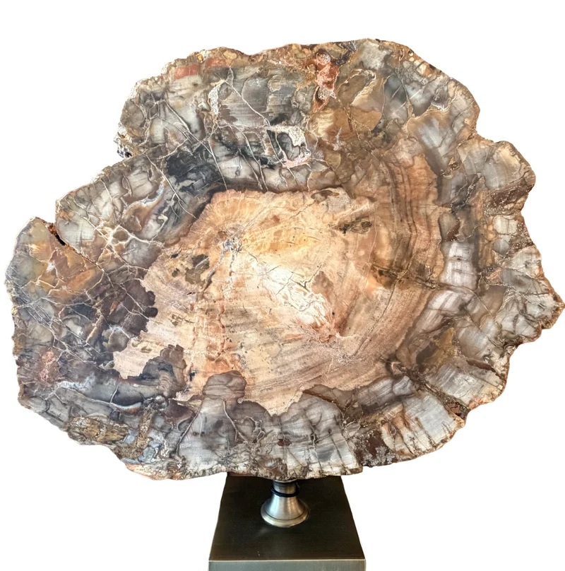 Ivor Petrified Wood Sculpture