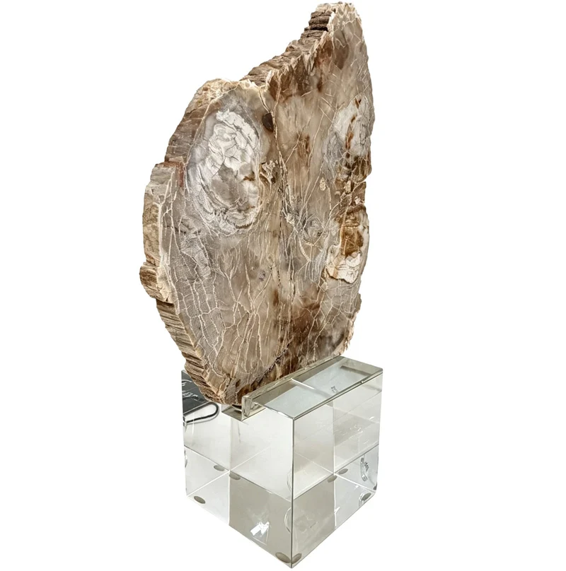 Bram Petrified Wood Sculpture - Small