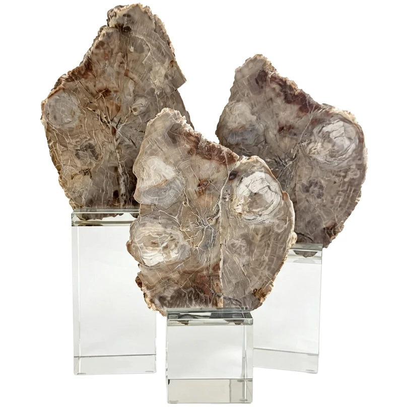 Bram Petrified Wood Sculpture - Medium