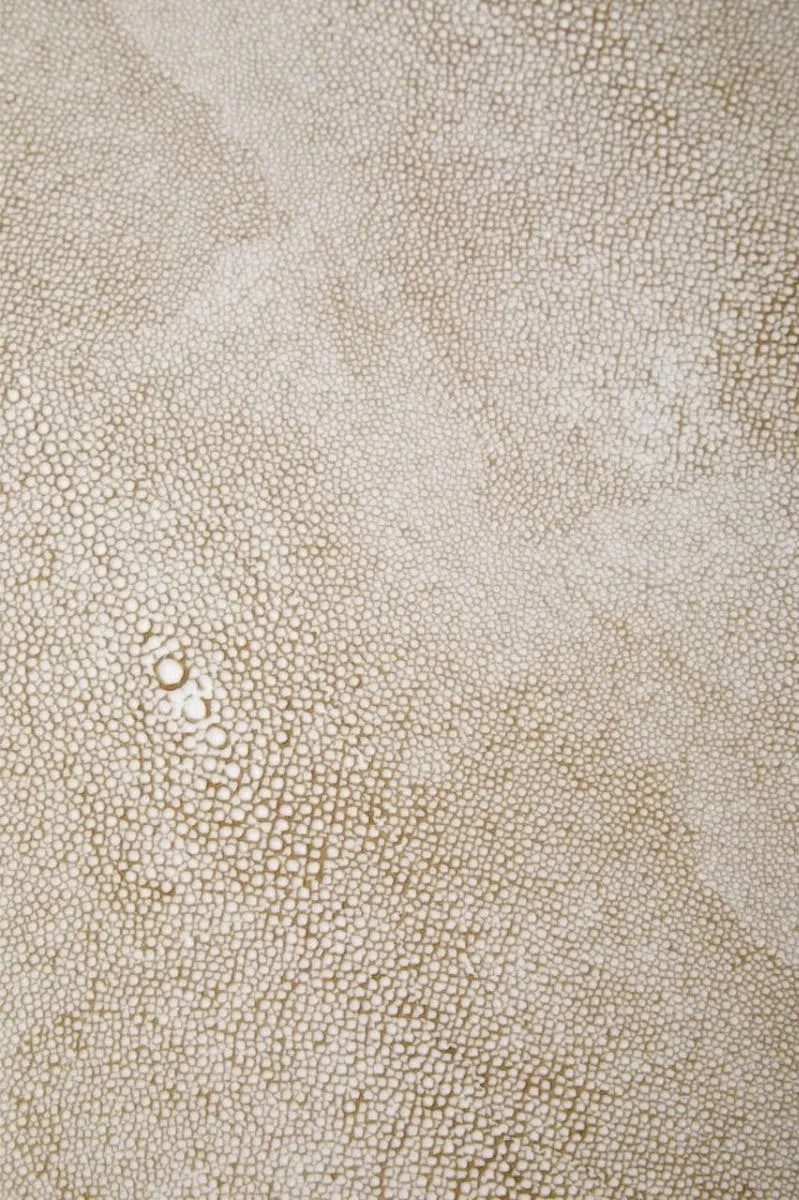 Cadio 2 Drawer Shagreen Effect Side Table
