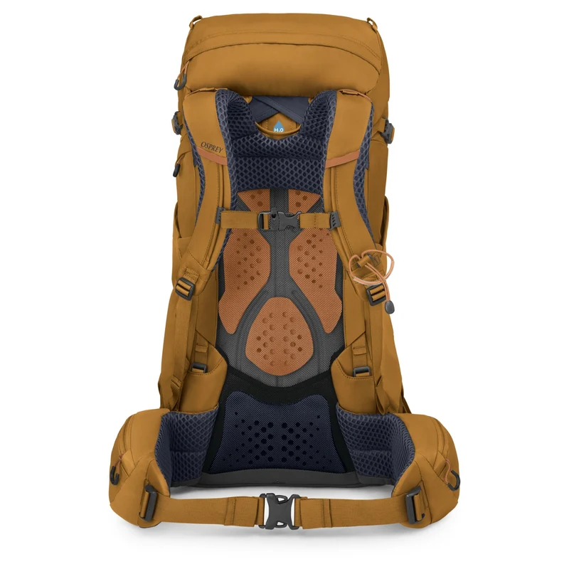 Osprey Kyte 38 Women M/L - Mochila de trekking 71 cm (barley brown)