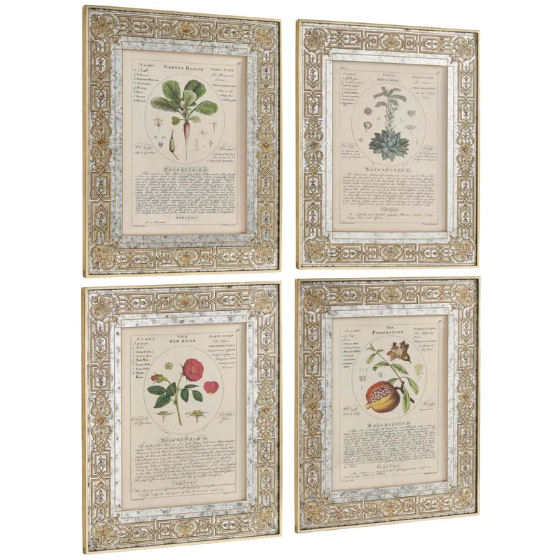 Herbal of Enlightenment Framed Prints - Set of 4
