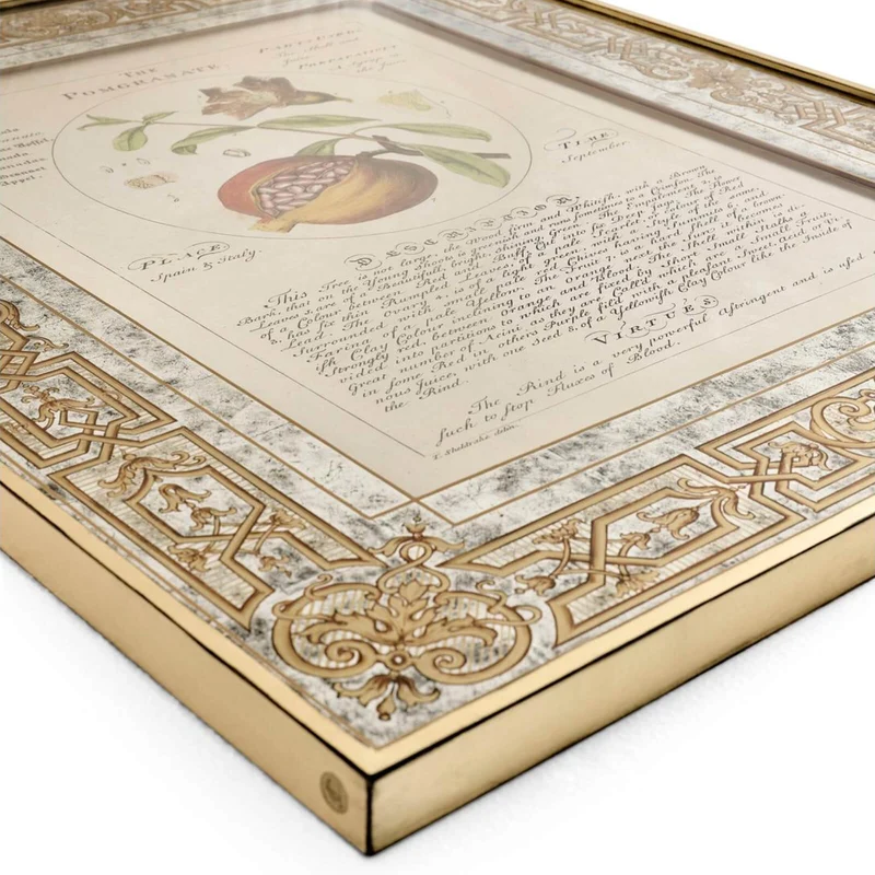 Herbal of Enlightenment Framed Prints - Set of 4