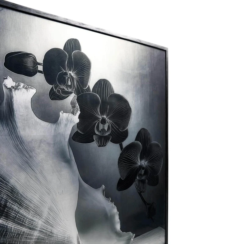 Silver Conch Photography Print