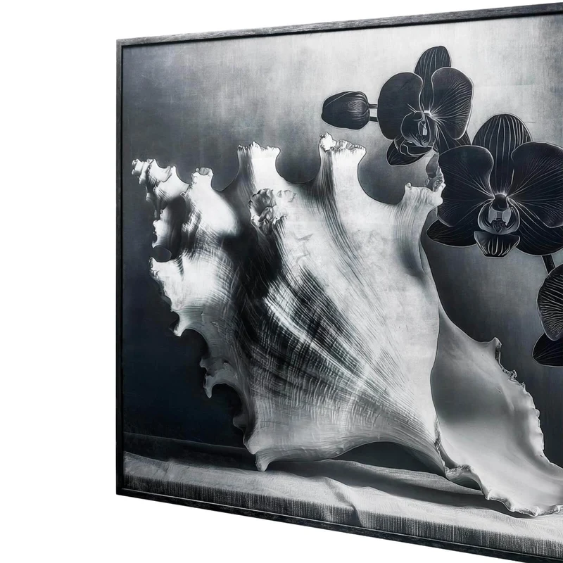 Silver Conch Photography Print