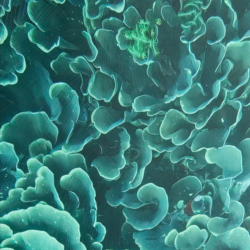 Emerald Coral Framed Canvas