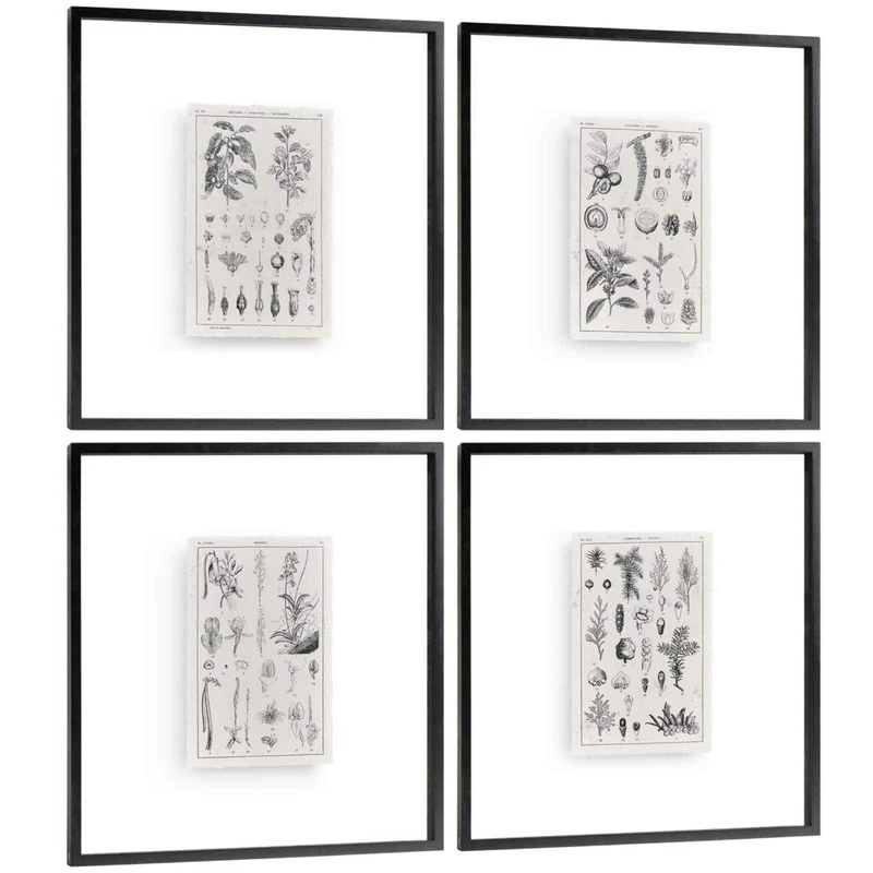 Botanica: The Art of Knowledge Framed Prints - Set of 4