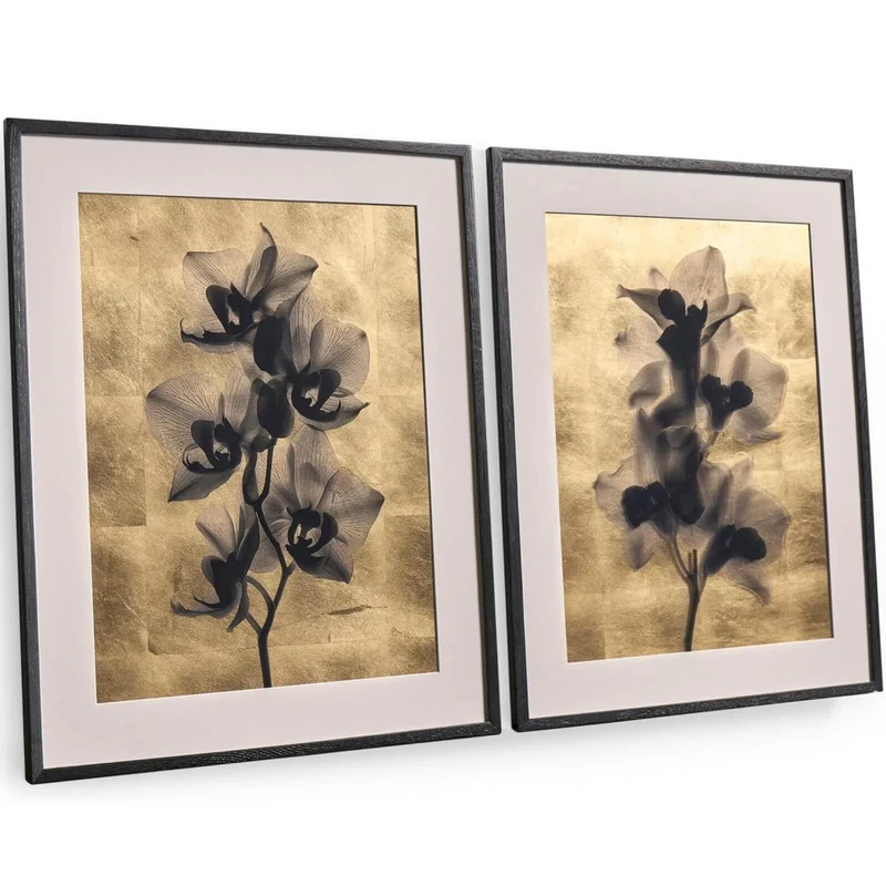 Black Orchids Photography Prints - Set of 2