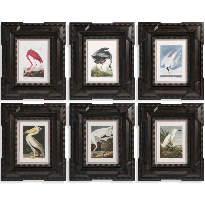 Audubon Birds Framed Prints - Set of 6