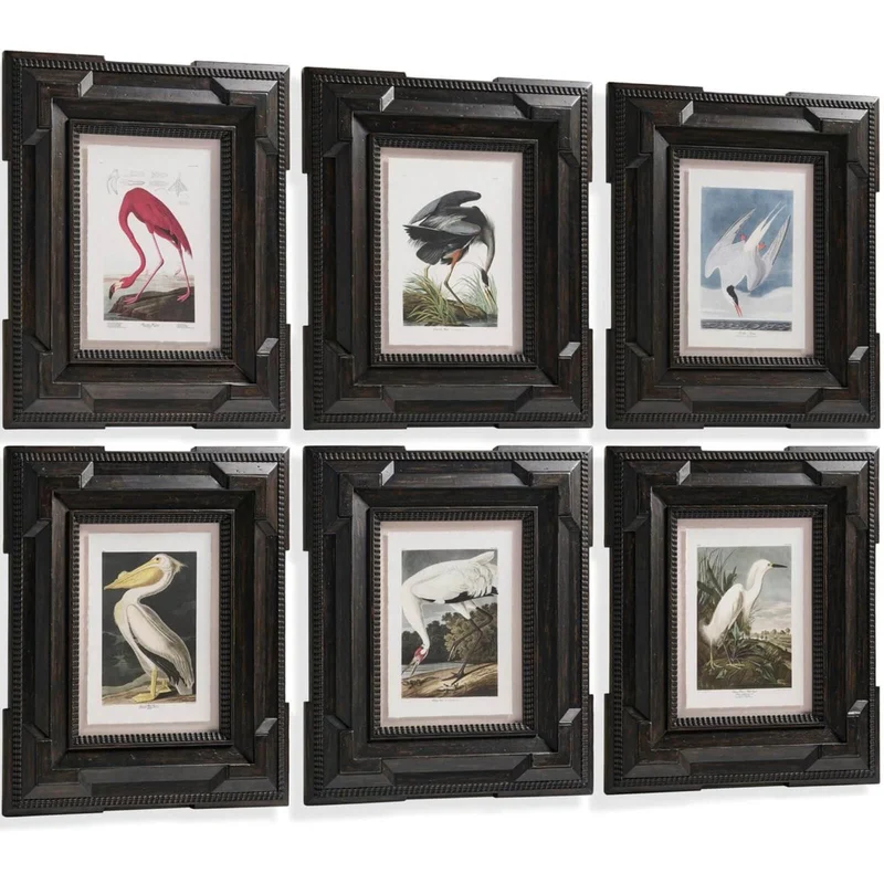 Audubon Birds Framed Prints - Set of 6