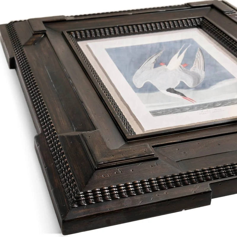 Audubon Birds Framed Prints - Set of 6