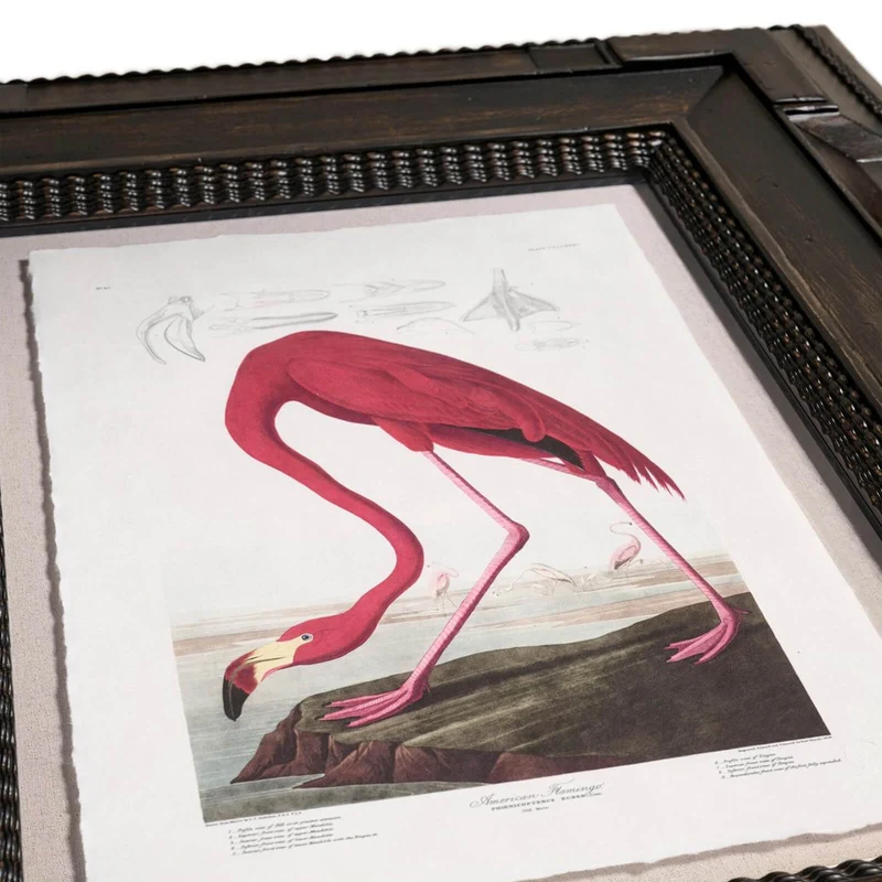 Audubon Birds Framed Prints - Set of 6
