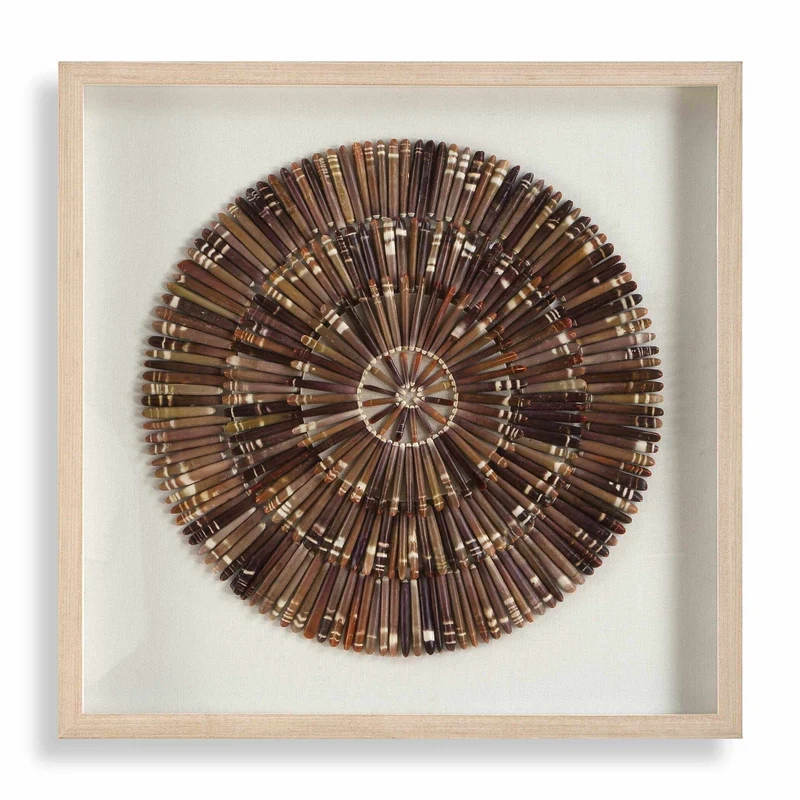 Tiger Sea Urchin Shadow Box
