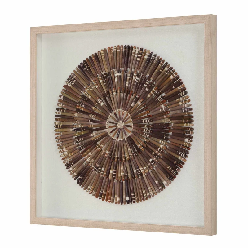 Tiger Sea Urchin Shadow Box
