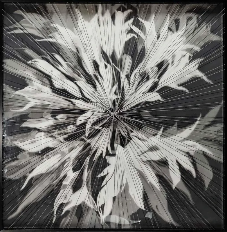 Afterglow Wall Art