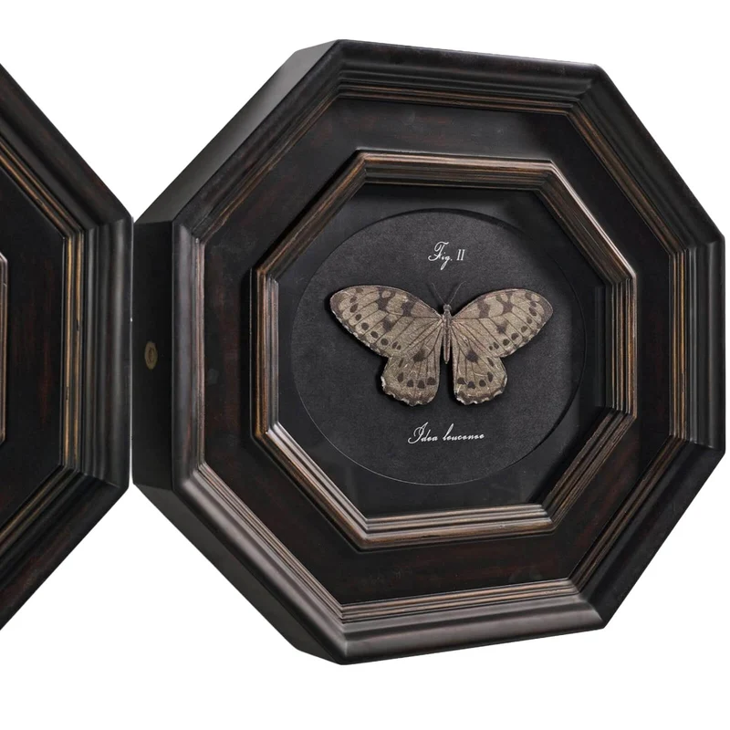 Wings of Discovery Framed Prints – Set of 6