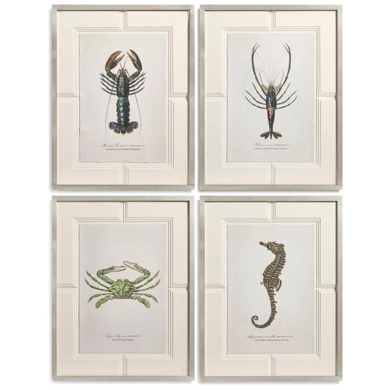 Vintage Marine Animals Framed Prints - Set of 4