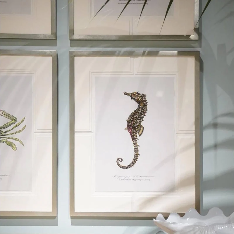 Vintage Marine Animals Framed Prints - Set of 4