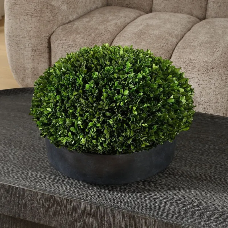 Verdana Boxwood Centerpiece In Bowl