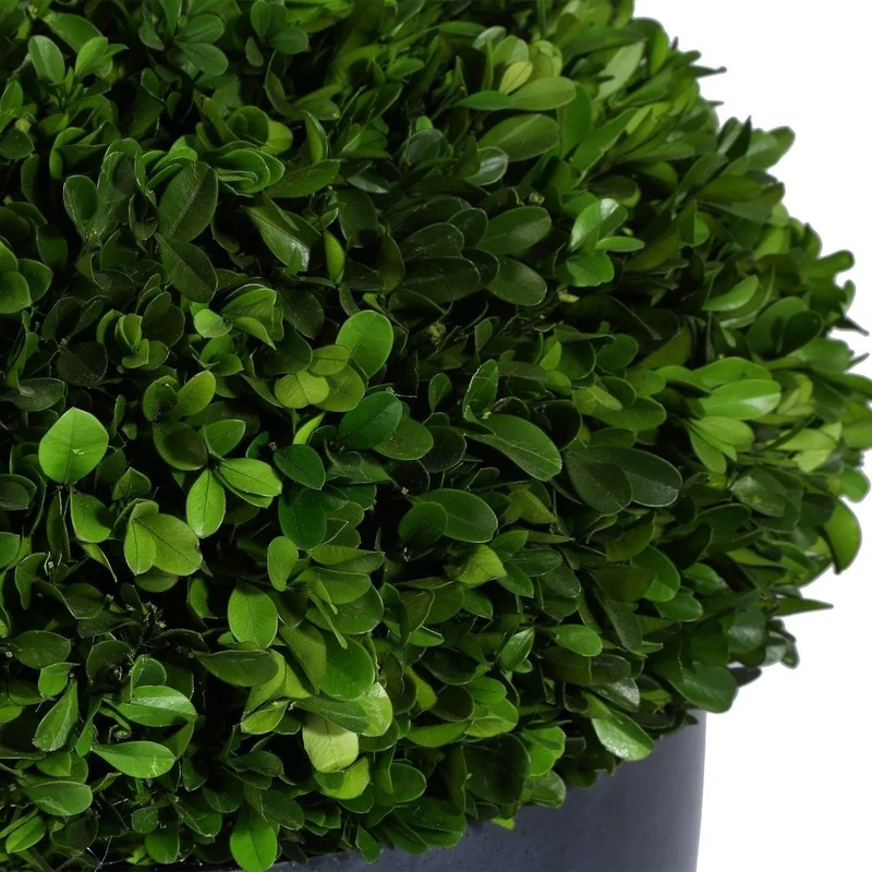 Verdana Boxwood Centerpiece In Bowl
