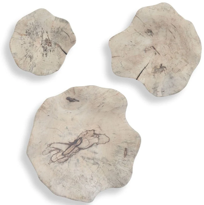 Teo Bleached Wood Wall Decor - Set of 3