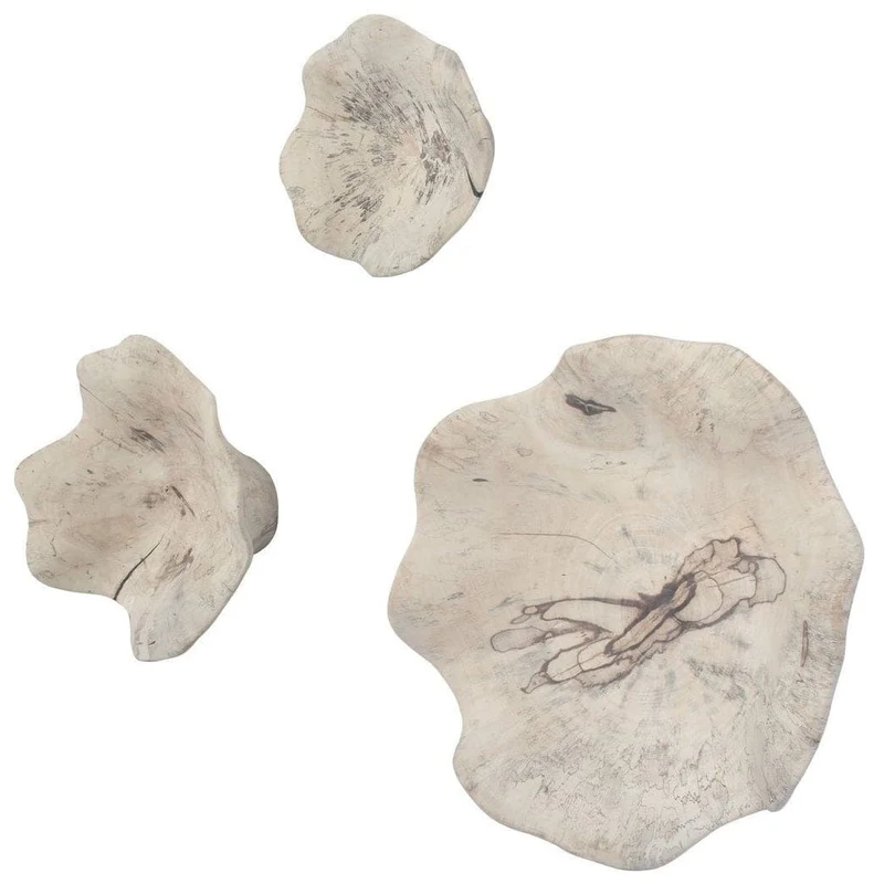 Teo Bleached Wood Wall Decor - Set of 3