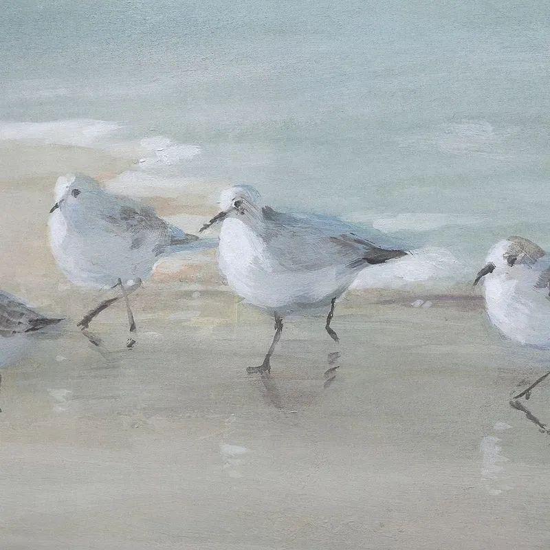 Tranquil Shorebirds On The Sand Framed Print