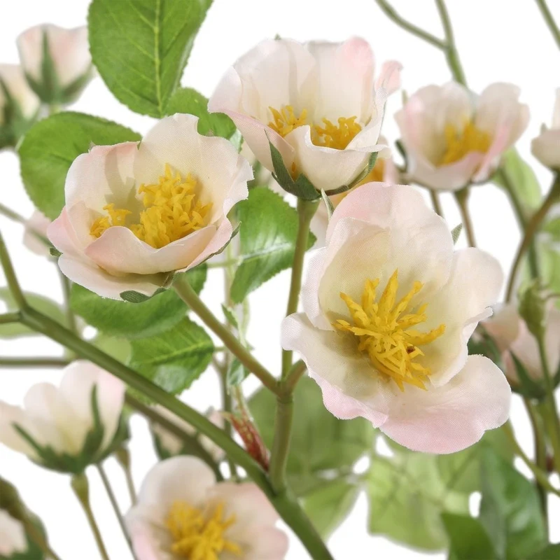 Tranquility Lenten Rose Bouquets Set of 2
