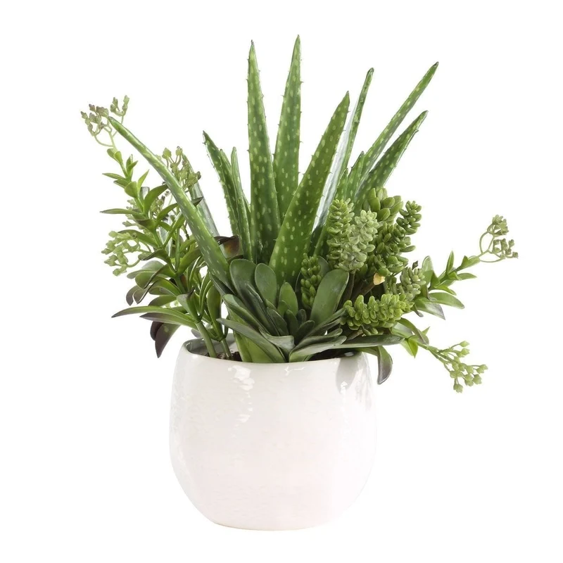 Sundown Succulent Accent Planter