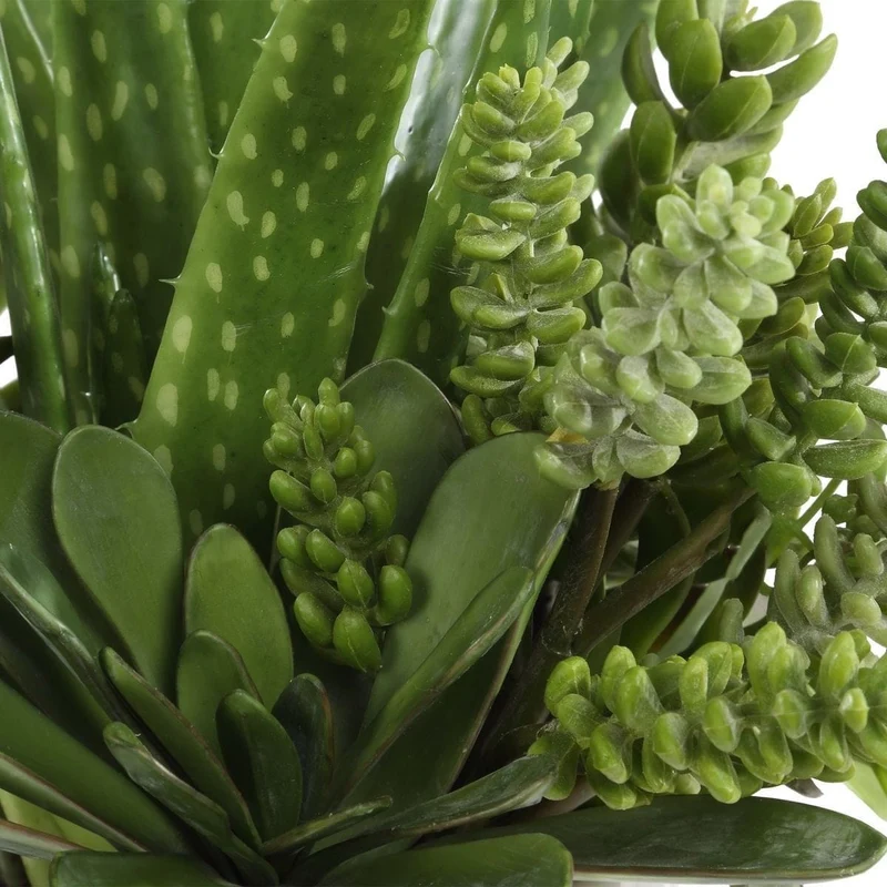 Sundown Succulent Accent Planter